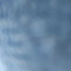 Meet your Posher, Chloe